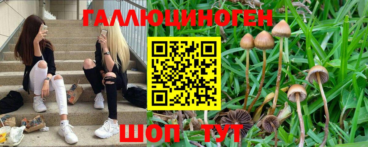 дарнет шоп  Псилоцибиновые грибы мухоморы  Вход с VPN  Саянск 