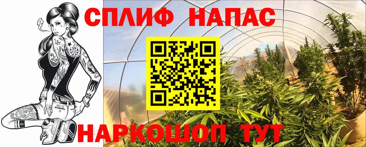 Саянск  Каннабис OG Kush  Бошки Шишки White Widow  Марихуана тримм  Вход с VPN 